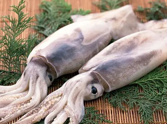 魷魚花刀切正面還是反面?魷魚咬不動是煮老了還是煮欠了