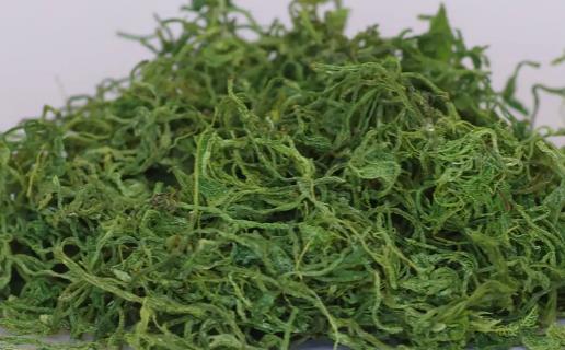 絞股藍要用多少度的水泡 絞股藍哪些人不能喝