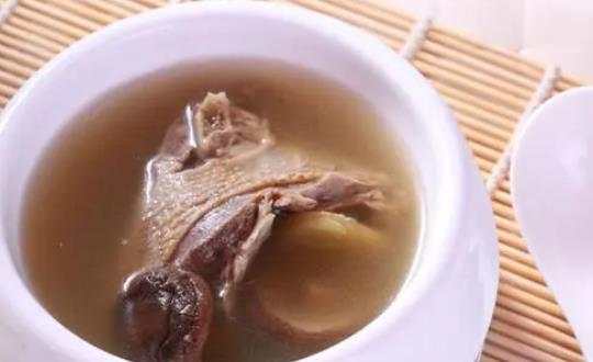 孕婦吃鴿子有什么好處?孕婦吃鴿子對(duì)胎兒好嗎?