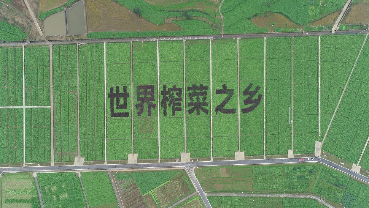 http://www.jewhye.com/upload_files/article/10/27_hjodo__.jpg
