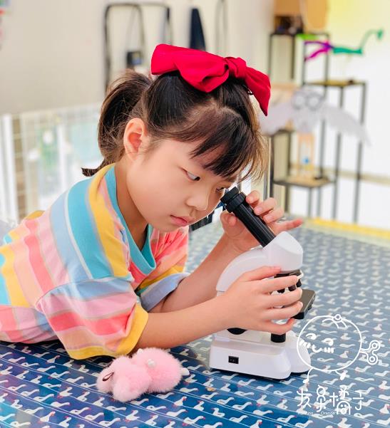 發條橘子全國招商,打造中國孩子家門口的創意空間
