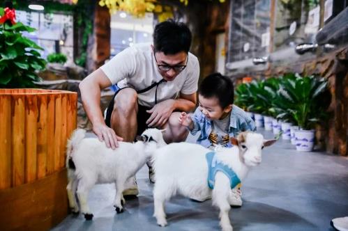 全國萬達(dá)廣場邁入400+時(shí)代,“萬達(dá)速度”馳騁不平凡