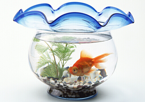 ~׵Ĕ[ŷλ-~cҾ\ݵPϵ