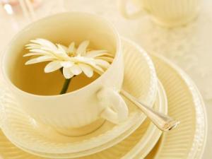 養顏喝什么茶好？7款養生花茶 喝出美麗容顏