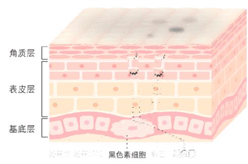朵美芭產品怎么樣 真的效果怎么樣
