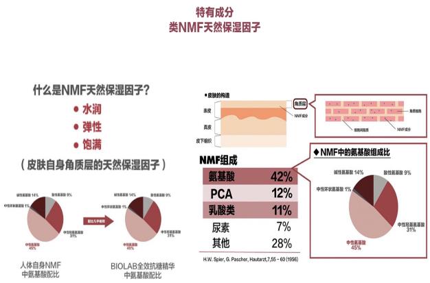 GP4G鹵蟲提取物能修復DNA損傷嗎?