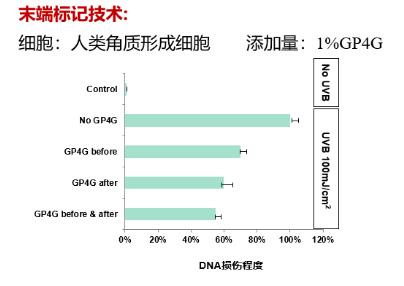 GP4G鹵蟲提取物能修復DNA損傷嗎?