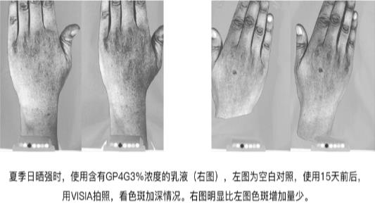 GP4G鹵蟲提取物能修復DNA損傷嗎?
