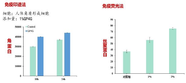 GP4G鹵蟲提取物能修復DNA損傷嗎?