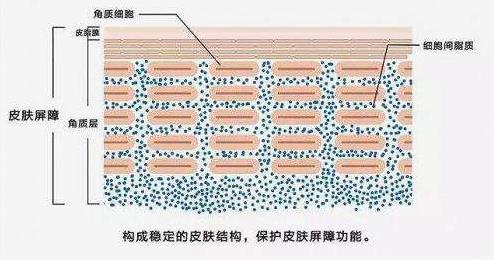 臉過敏起紅點點怎么辦?真實案例教你一招搞定!