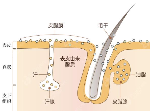 廣州伊站做皮膚護理效果好嗎?