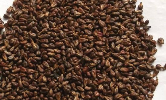 長期暴曬會讓皮膚受傷 肌膚防曬4個美容養顏方法