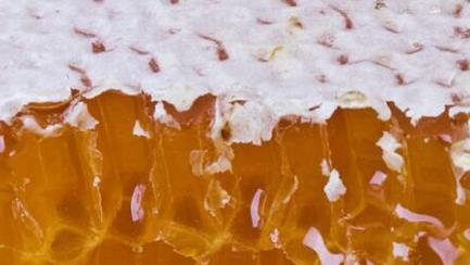 想要保持好的皮膚多吃有益的食物 這7種食物是天然護膚品