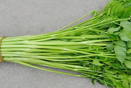 夏季護膚是至關重要的 夏季護膚雷區別踩