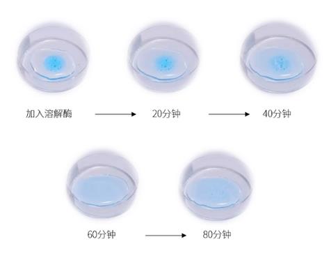玻菲玻尿酸,駐顏逆齡領導者