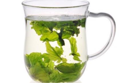 荷葉真的有減肥功效嗎 桑葉茶喝了能減肥嗎