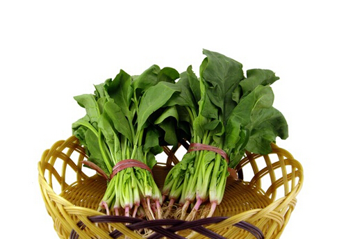 ԲЧpСýYcĎ