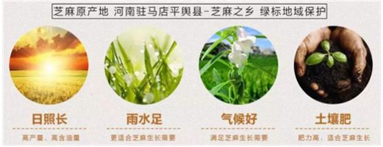 九蒸九曬黑芝麻丸正確吃法,服用方法一天吃幾粒為好?