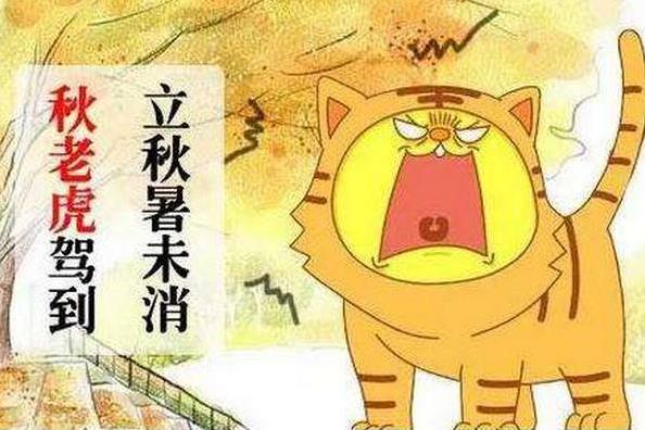 秋老虎是什么節氣什么時候,秋老虎有多少天(立秋后8月至9月間)