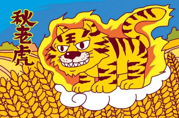 秋老虎是什么節氣什么時候,秋老虎有多少天(立秋后8月至9月間)