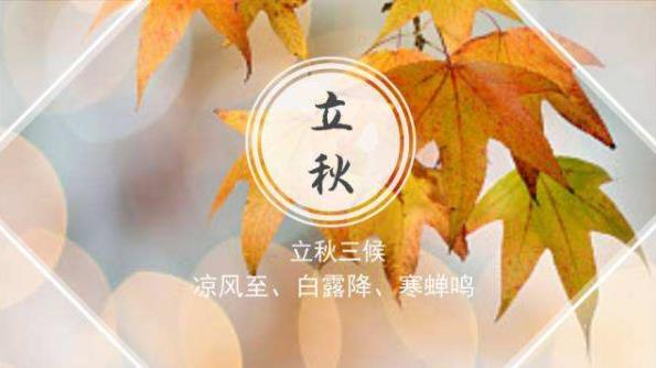 秋老虎是什么節氣什么時候,秋老虎有多少天(立秋后8月至9月間)
