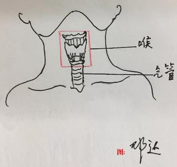 成都民生耳鼻喉醫院提醒:關于喉癌,我們所應該知道的