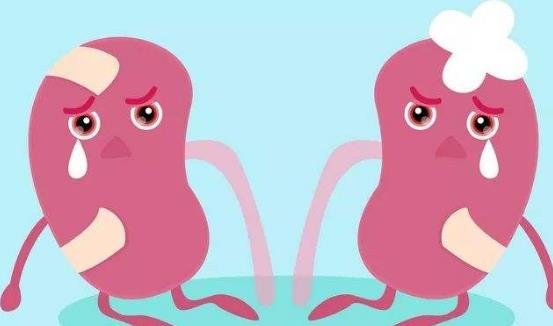 梗阻性腎病有哪些并發癥?梗阻性腎病的藥物治療?