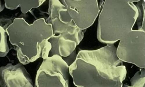 10年保質的曼特波超肋為何這么有底氣?