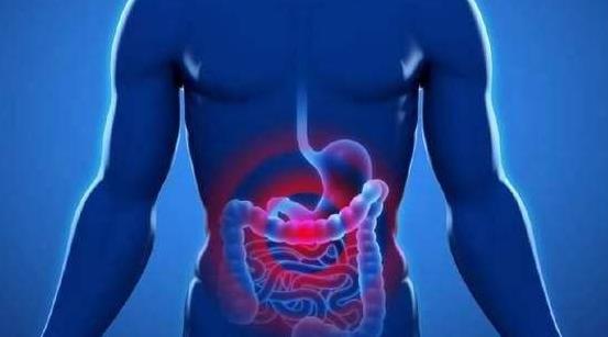 怎么預防腸道不好?引起腸道不好的原因有哪些?
