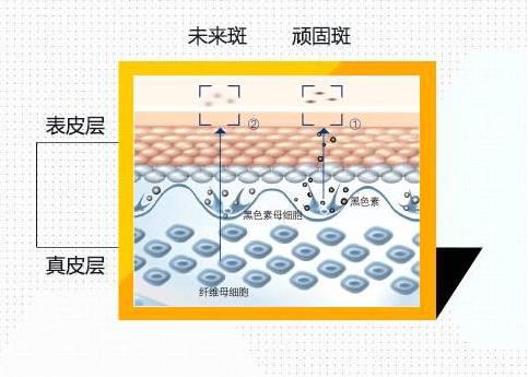 重慶當代整形醫院服務怎么樣 精湛的技術還你美麗新容顏