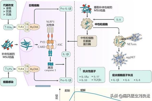 成都西部痛風風濕醫院靠譜嗎?技術精湛 正規靠譜