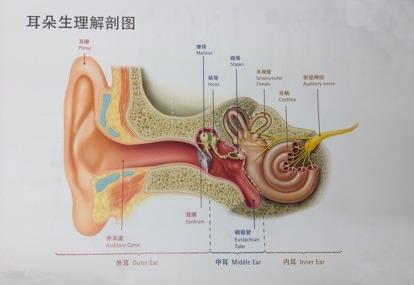 助聽器什么品牌最好怎么買最合適