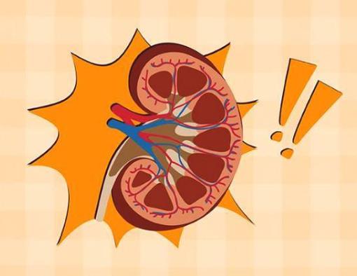 急性腎功能衰竭的癥狀是什么?急性腎功能衰竭的危害