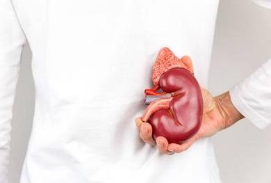 急性腎功能衰竭的癥狀是什么?急性腎功能衰竭的危害