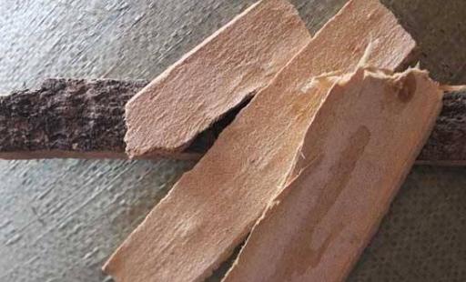患疥瘡的原因有哪些?疥瘡有哪些并發(fā)癥?