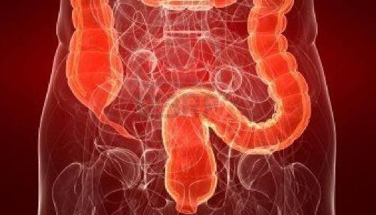 誘發潰瘍性結腸炎的原因有哪些?潰瘍性結腸炎有哪些癥狀?