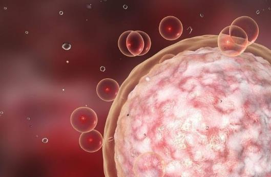 高泌乳素血癥的誘發因素有哪些?高泌乳素血癥有哪些疾病分類?
