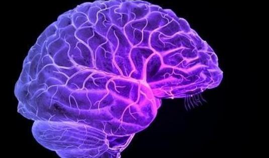 腦血管痙攣有哪些危害?為什么會患腦血管痙攣?