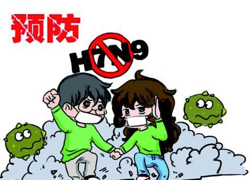 H7N9禽流感癥狀表現是什么?h7n9流感是什么