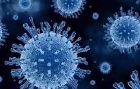 怎么預防甲型流感病毒?甲型流感的誤區是什么