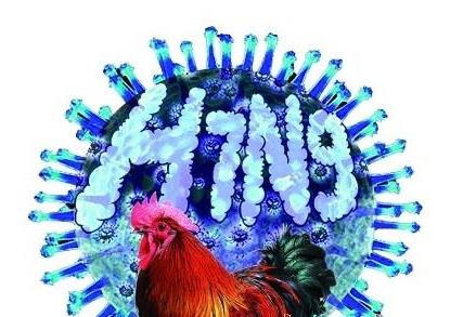 H7N9禽流感癥狀表現是什么?h7n9流感是什么