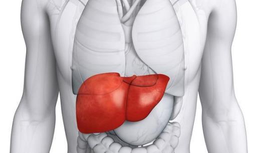 肝硬化性腎損害有哪些分類?肝硬化性腎損害做哪些檢查?