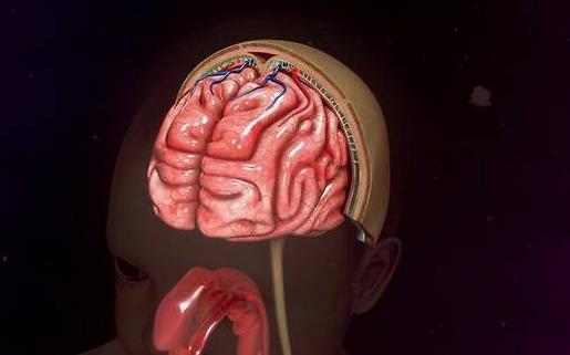 腦膜炎會引起白血病嗎?什么是病毒性腦膜炎?
