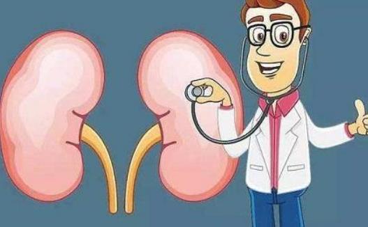 肝硬化性腎損害有哪些分類?肝硬化性腎損害做哪些檢查?
