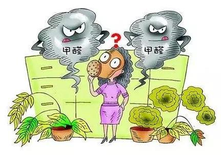 “醛”都不能要!快來看家里怎么快速除甲醛