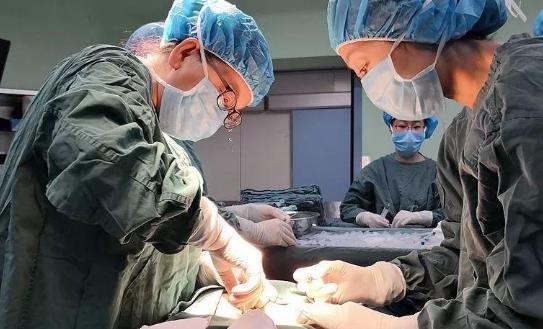 什么是骨髓移植?骨髓移植失敗會馬上死掉嗎?