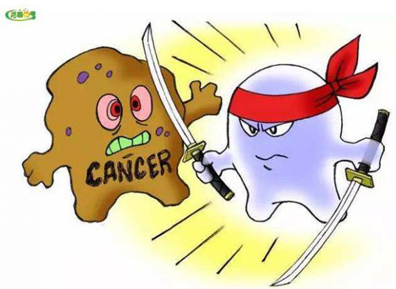【一盞燈健康】腸道菌群失調引發癌癥,益生菌真的能抗癌?