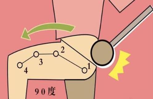 敲打膽經為什么能減肥排毒?膽經在哪個地方?