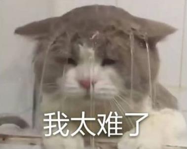綿陽韓美醫療美容彭太平 認真對待每一位求美者