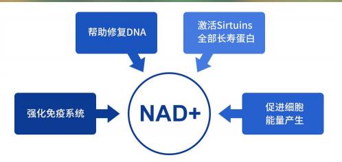 信心康樂NMN:走出實驗室,逆轉衰老技術不是夢